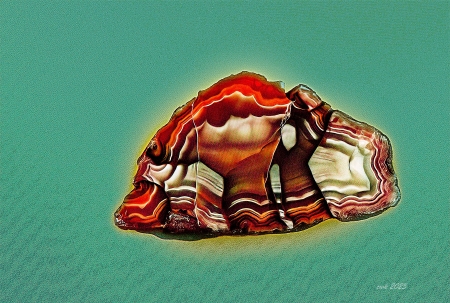 Fish Face by artist Charlie Kreitler